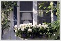Home suede home